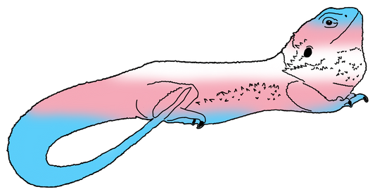 Trans Pride Sticker